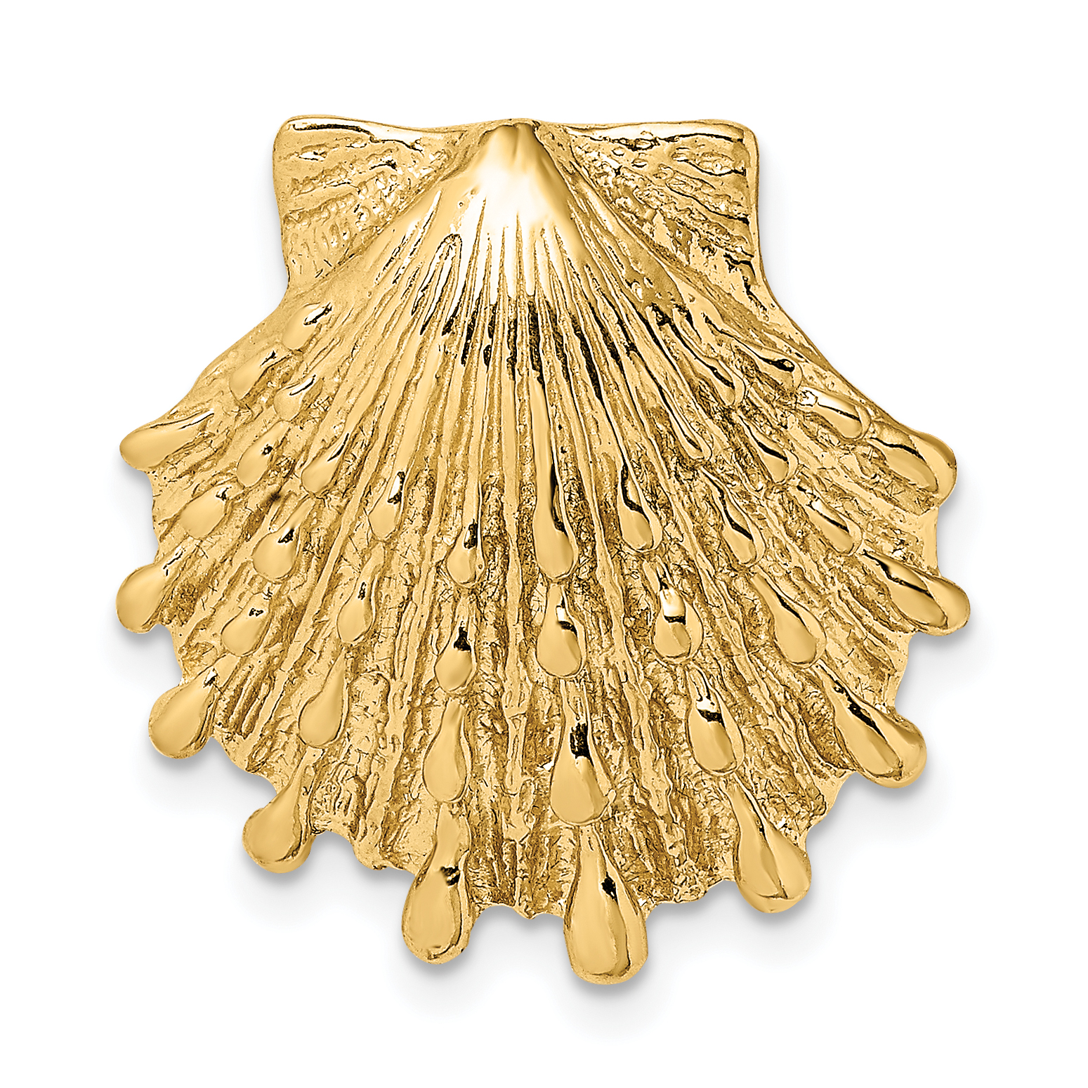 14k Small Lion's Paw Shell Slide (D2860)