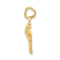 14K Yellow Gold Fire Department Insignia Charm view 2