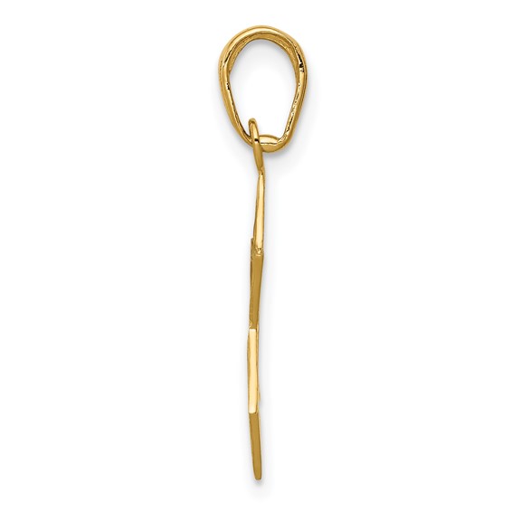 Gold Star of David Pendant