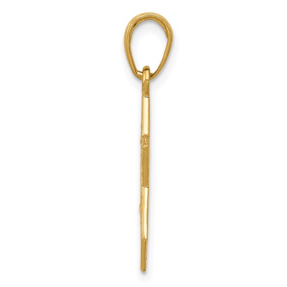 Gold Star of David Pendant