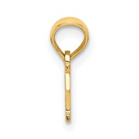 14K Yellow Gold Polished Brat Charm view 2