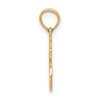 14K Yellow Gold #1 Godmother Pendant view 2