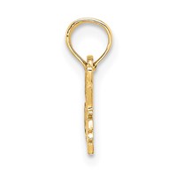 14K Yellow Gold Special Niece Charm view 2