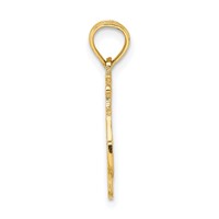 14K Yellow Gold #1 Wife Charm view 2