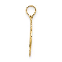 14K Yellow Gold #1 Sister in Heart Charm view 2