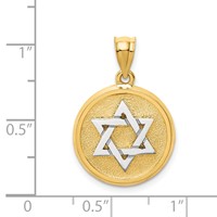 14K Two-tone Solid Satin Finish Flat Back Star of David Disc Charm view 2