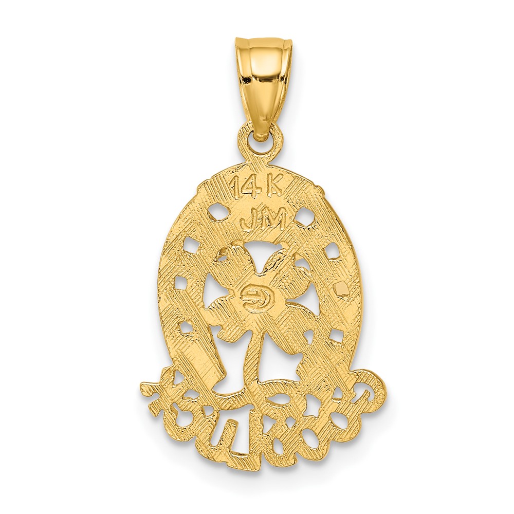 14K GOOD LUCK Horseshoe and Clover Charm (D4047)