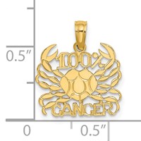 14K Yellow Gold 100% Cancer Zodiac Charm view 3