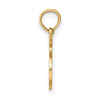 14K Yellow Gold 100% Leo Zodiac Charm view 2
