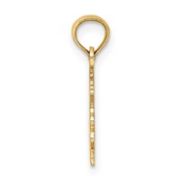 14K Yellow Gold 100% Capricorn Zodiac Charm view 2