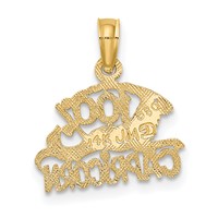14K Yellow Gold 100% Capricorn Zodiac Charm view 4
