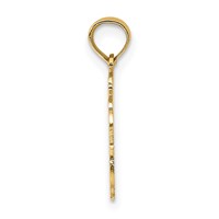 14K Yellow Gold 100% Aquarius Zodiac Charm view 2