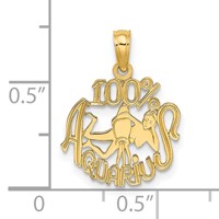 14K Yellow Gold 100% Aquarius Zodiac Charm view 3