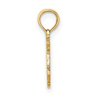 14K Yellow Gold 100% Pisces Zodiac Charm view 2