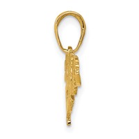 14K Yellow Gold Dragon Pendant view 2