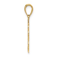14K Yellow Gold Lion Head Pendant view 2