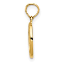 14K Yellow Gold Polished Small Fleur De Lis in Oval Pendant view 2