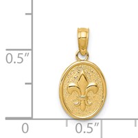 14K Yellow Gold Polished Small Fleur De Lis in Oval Pendant view 3