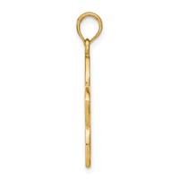 14K Yellow Gold Polished Cut-out Plumeria Flower Pendant view 2