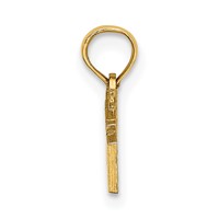 14K Yellow Gold Polished Alaska Charm view 2