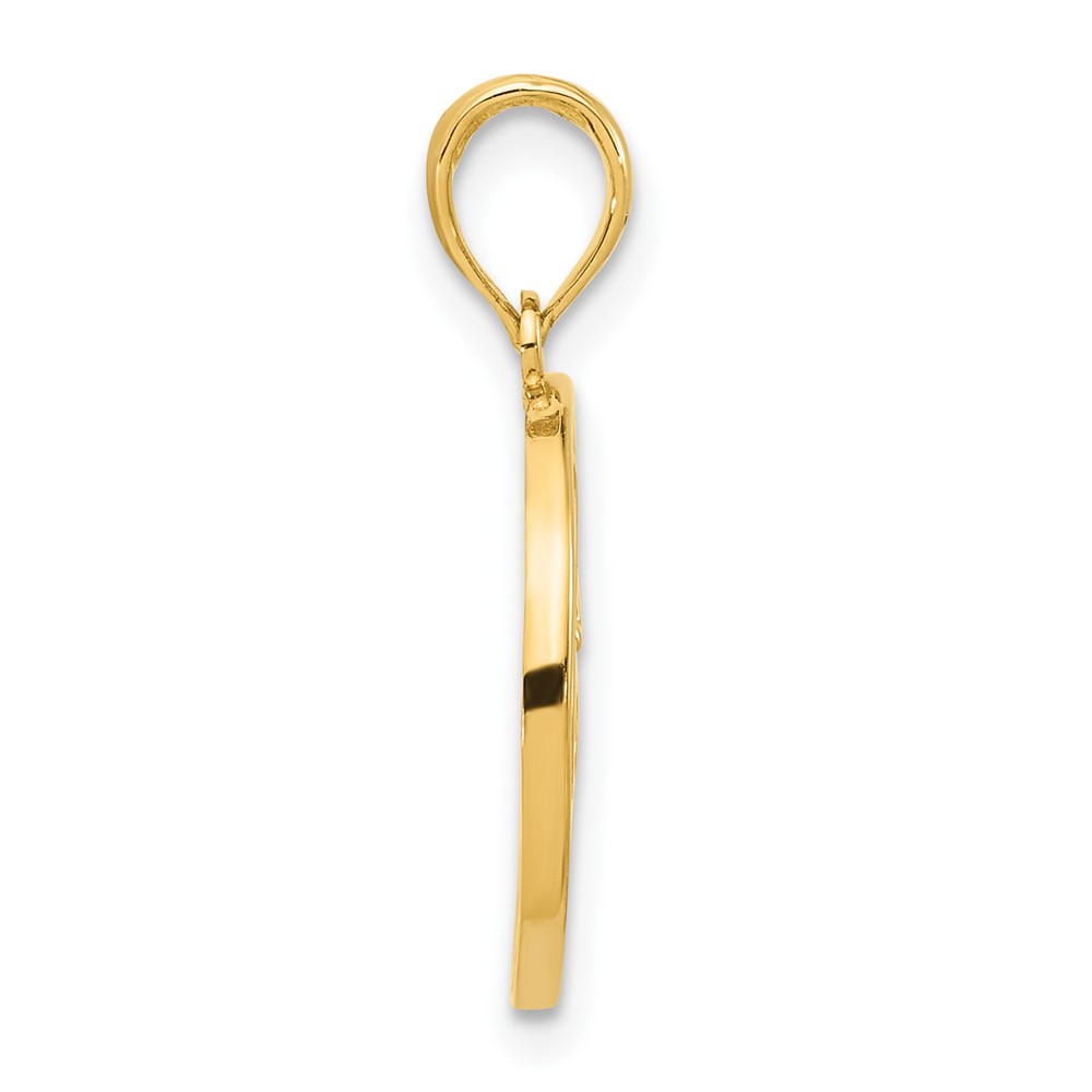 14k Polished Music Notes in Circle Pendant (D5368)