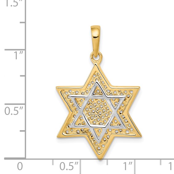 14K and White Rhodium Solid Mesh Star Of David Charm