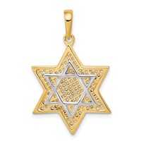 14K and White Rhodium Solid Mesh Star of David Charm view 1