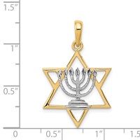 14K and White Rhodium Solid Menorah in Star of David Charm view 4
