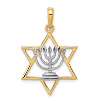 14K and White Rhodium Solid Menorah in Star of David Charm view 1