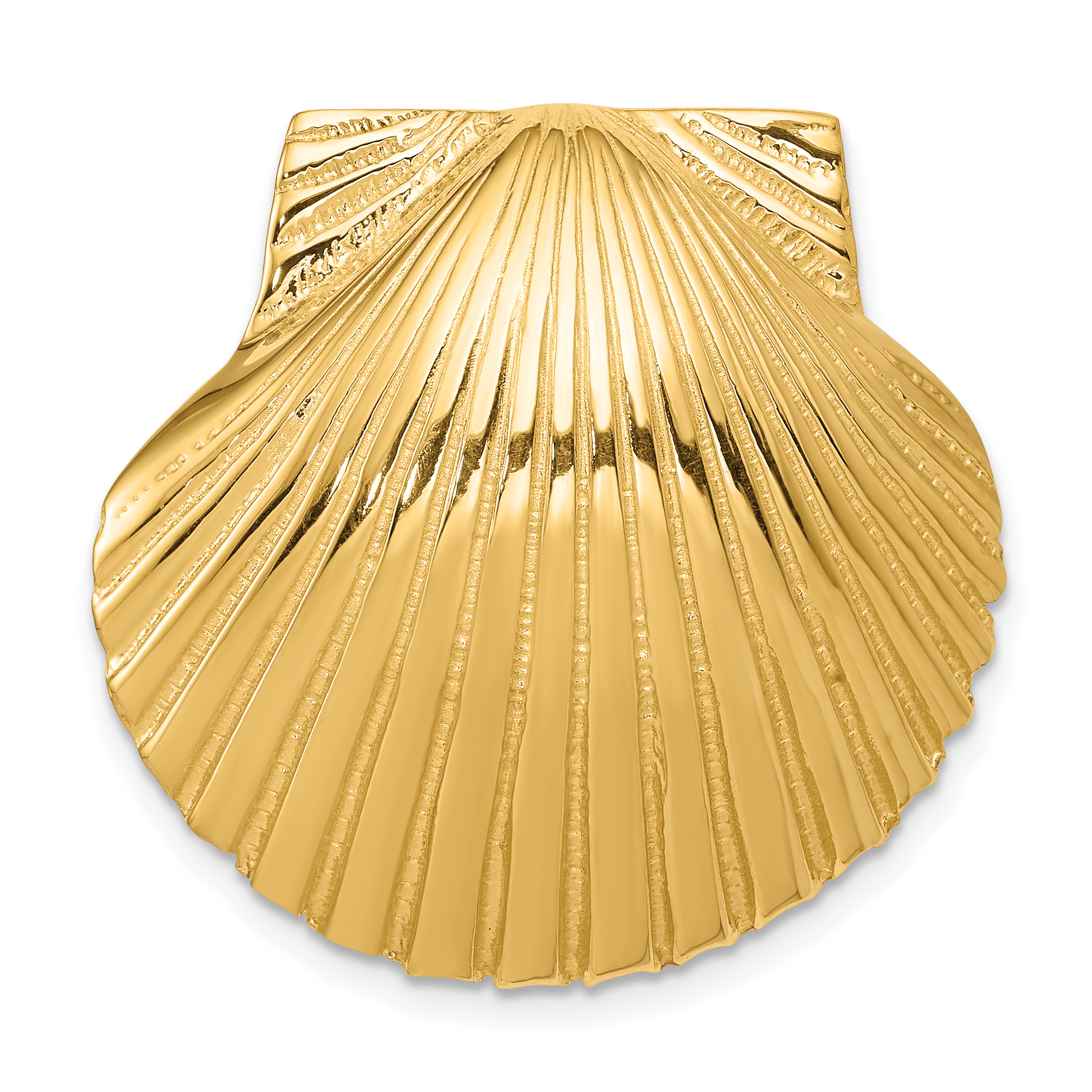 14K Fits Up To 8mm and 10mm Medium Scallop Shell Slide (D995)