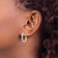 14K Diamond Fascination Diamond Dust Accent 3x21mm Round Hinged Hoop Earrings view 3