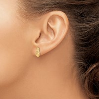 14K Yellow Gold Polished Flip-Flop Post Earrings view 3