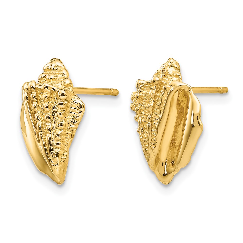14k Conch Shell Earrings (E916)