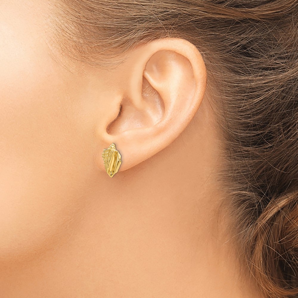 14k Conch Shell Earrings (E916)