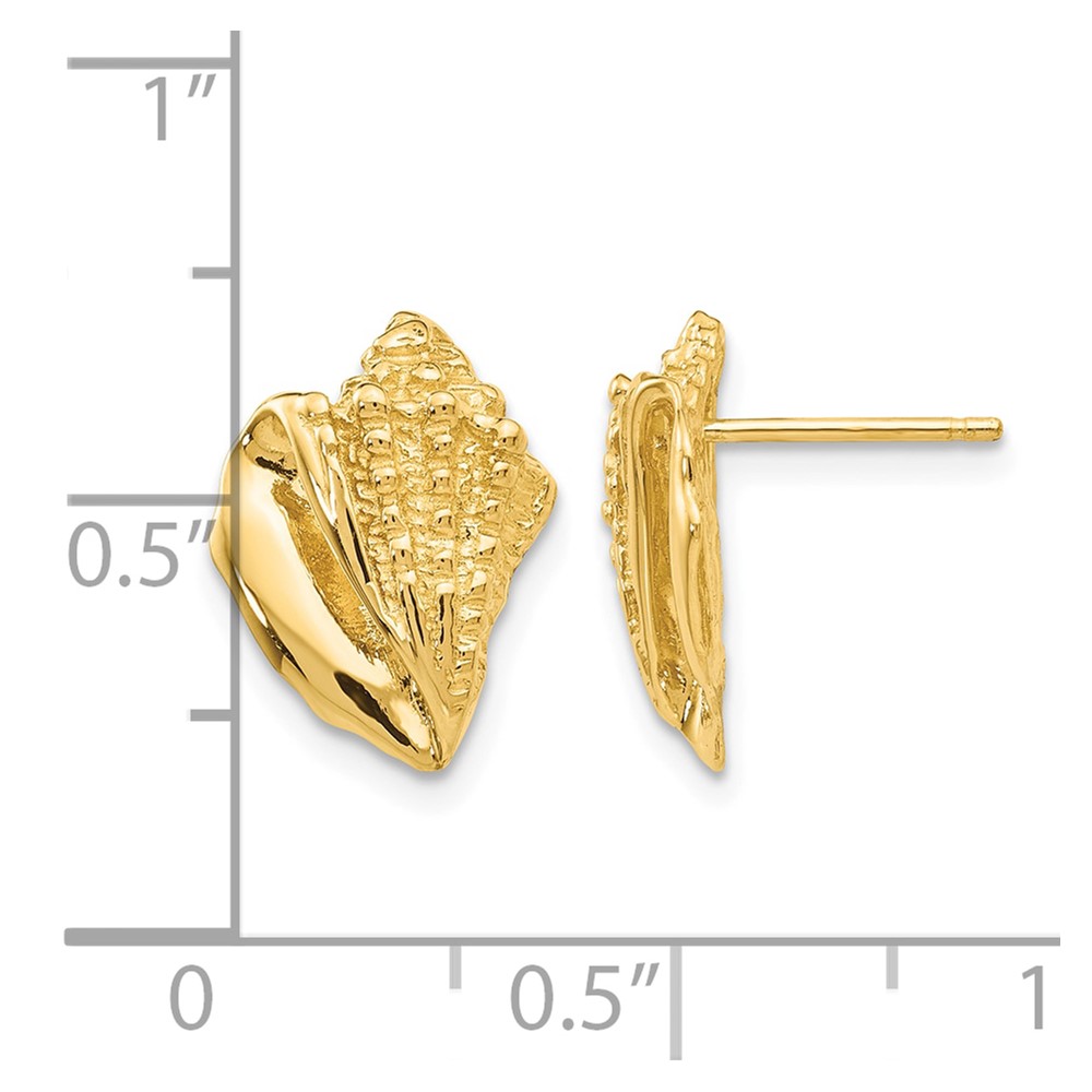 14k Conch Shell Earrings (E916)