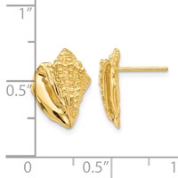 14K Yellow Gold Conch Shell Earrings view 4
