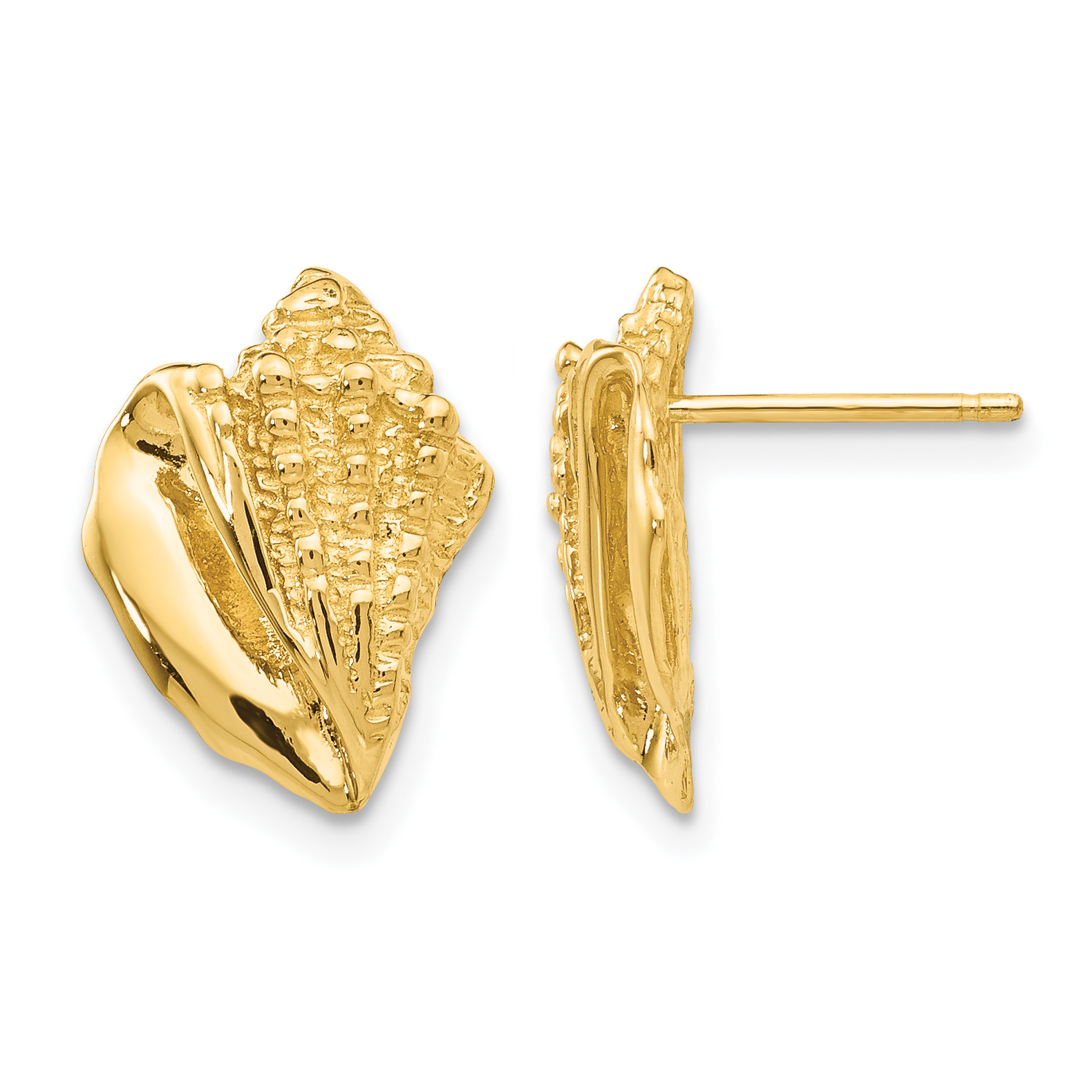 14k Conch Shell Earrings (E916)