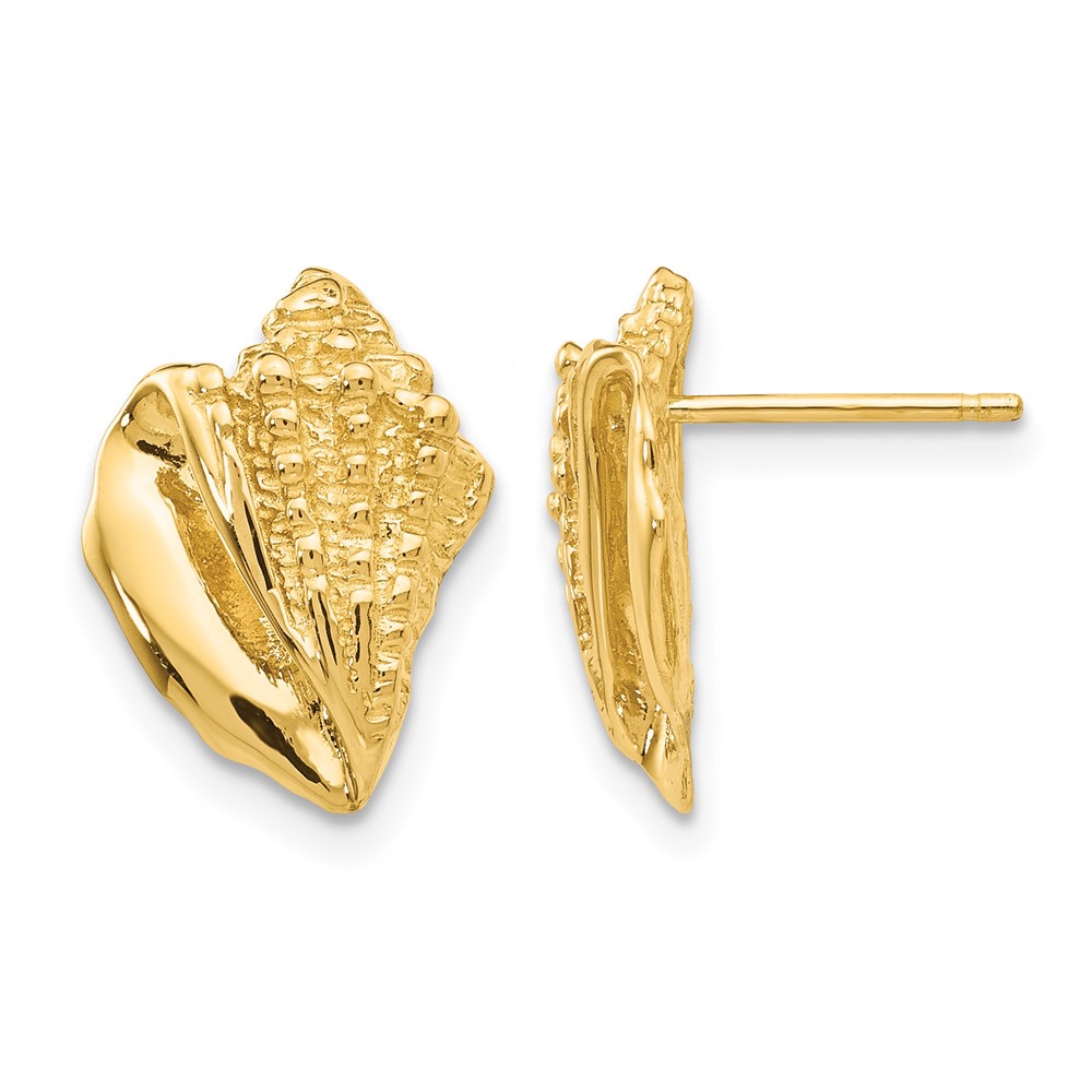14k Conch Shell Earrings (E916)