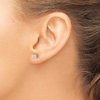True Origin 14K Yellow Gold 0.50 Carat Lab Grown Diamond VS+ F+ Round Four Prong Heavy Weight Complete Stud Earrings view 3