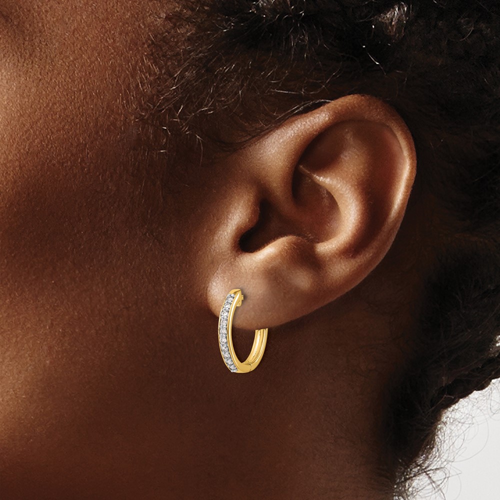 10k Diamond Hinged Hoop Earrings (EM4264-025-1YA)
