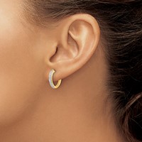 14K Yellow Gold 0.25 Carat Lab Grown Diamond VS SI+ G+ Complete Hinged Hoop Earrings view 3