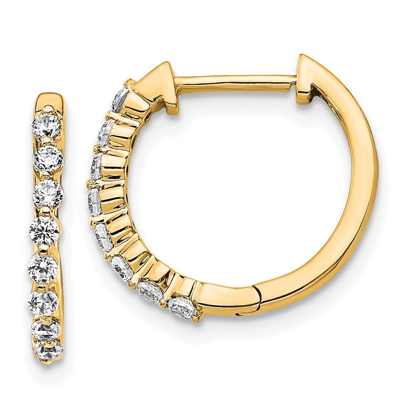 14k 1/3 carat Lab Grown Diamond VS/SI+ G+ Complete Hinged Hoop Earrings