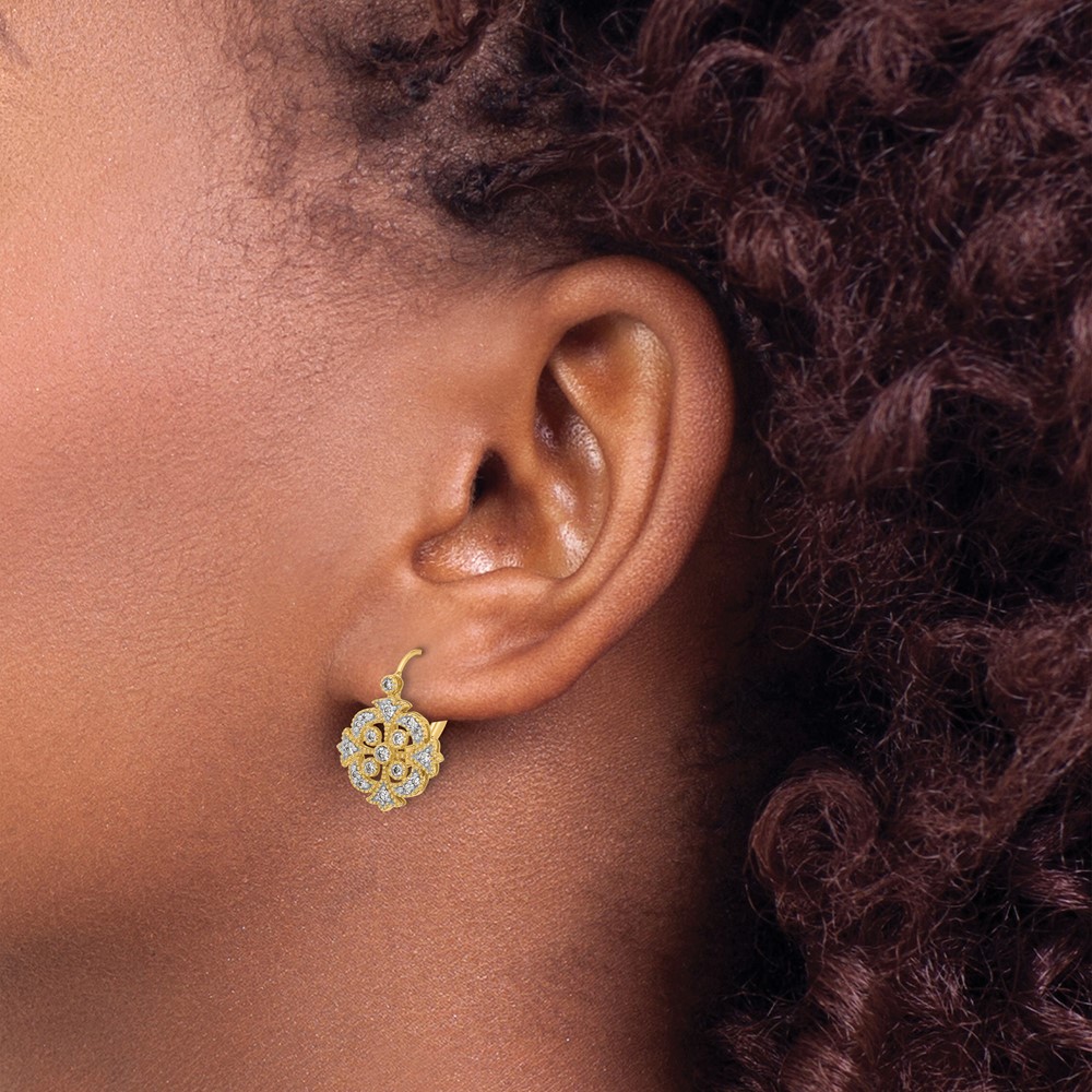 14k Diamond Leverback Earrings (EM5546-033-YA)