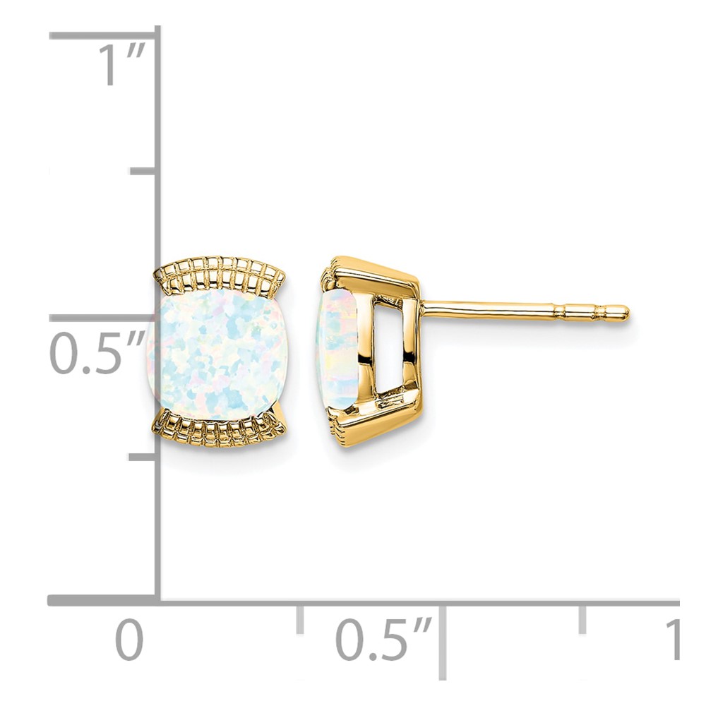 14k Created Opal Post Earrings (EM7080-OP-Y)
