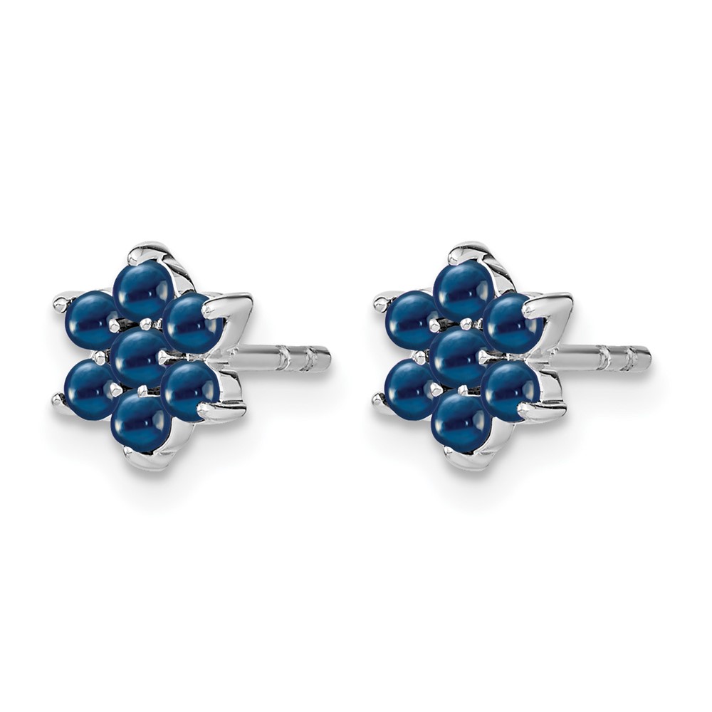 14k White Gold Sapphire Floral Post Earrings (EM7199-SA-W)