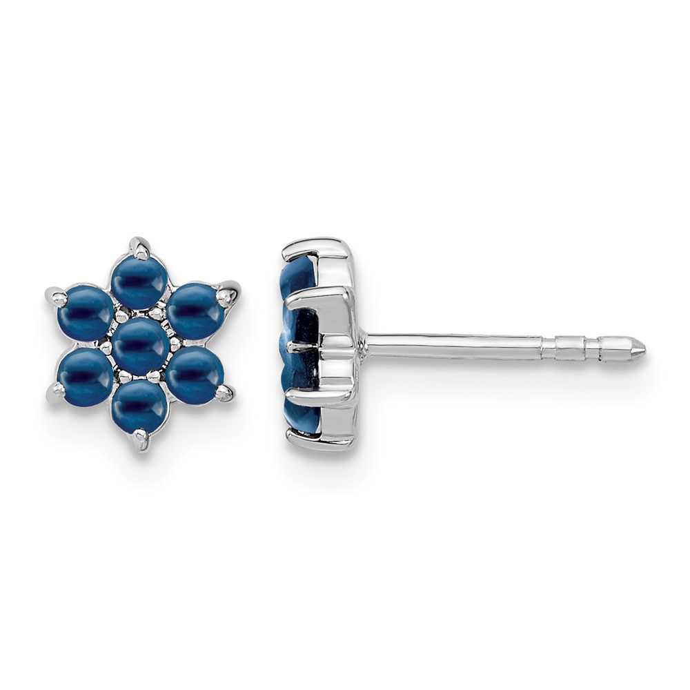 14k White Gold Sapphire Floral Post Earrings (EM7199-SA-W)