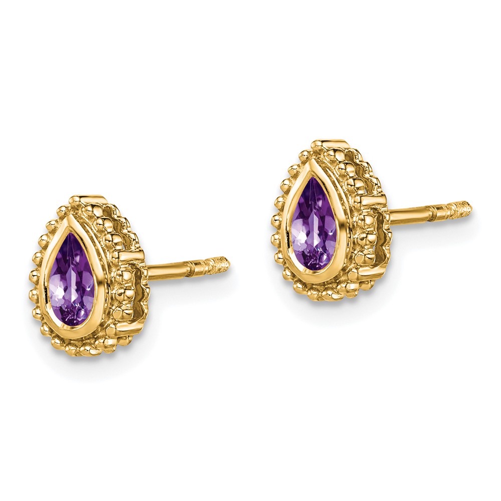 14k Pear Amethyst Post Earrings (EM7203-AM-Y)