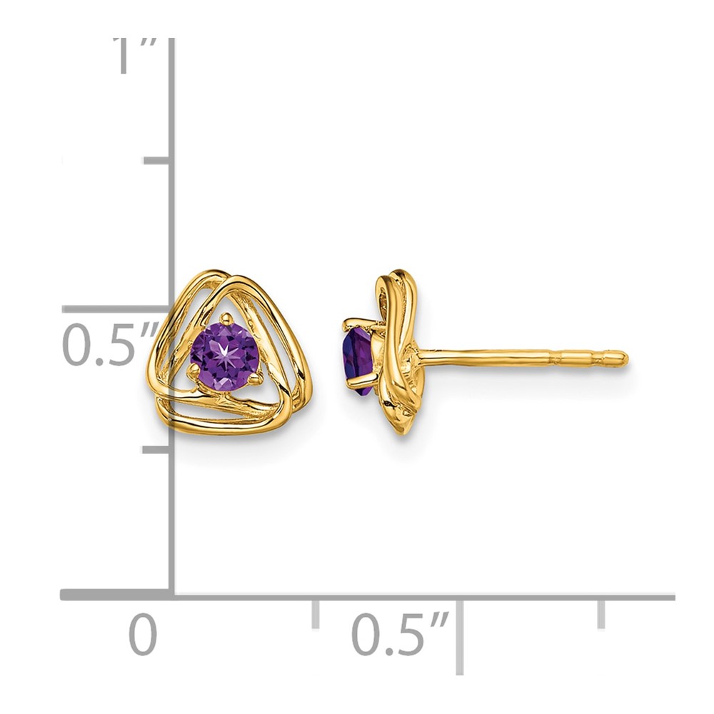 14k Amethyst Post Earrings (EM7395-AM-Y)