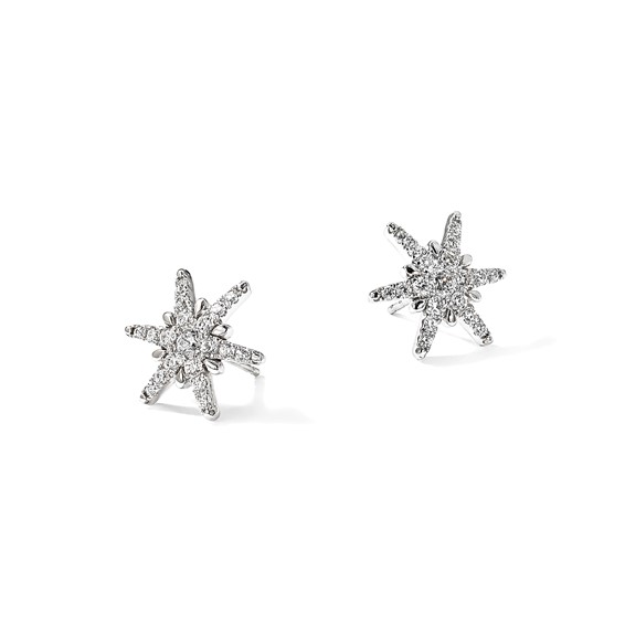 14k White Gold 5/8 carat Lab Grown Diamond VS/SI+ G+ Complete Star Post Earrings