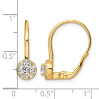 14K Yellow Gold 0.75 Carat Lab Grown Diamond VS SI+ G+ Complete Drop Leverback Earrings view 4